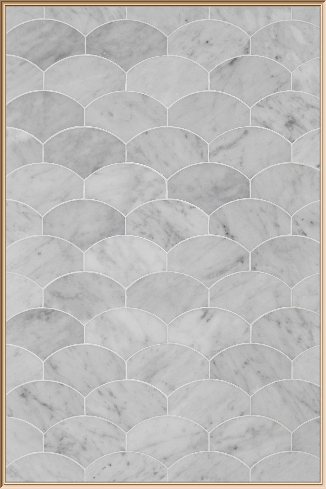 Scallop