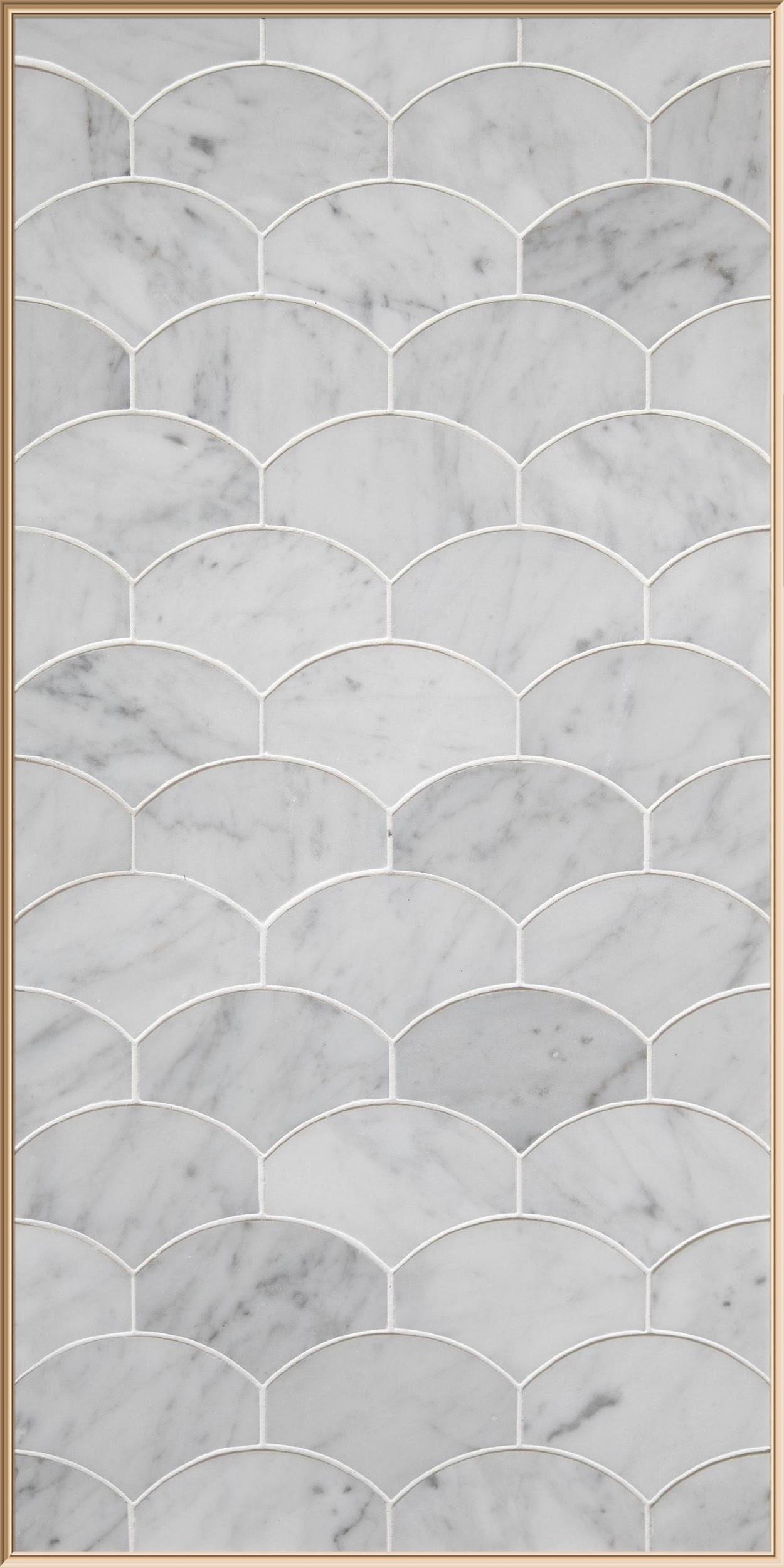 Scallop